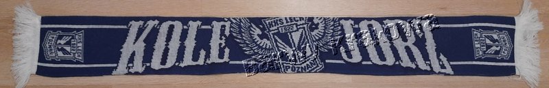 LPD_031_Lech poznan kolejorz skrzydla