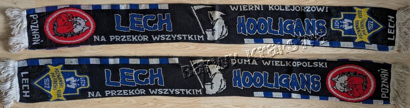 LPD_035_Lech hooligans 2