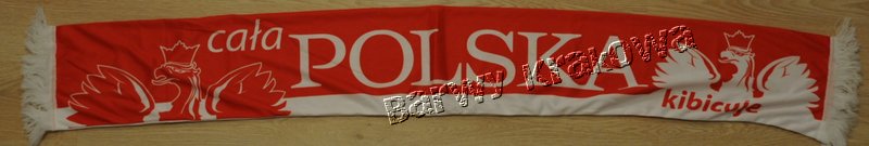 PL_004_Polska cala kibicuje